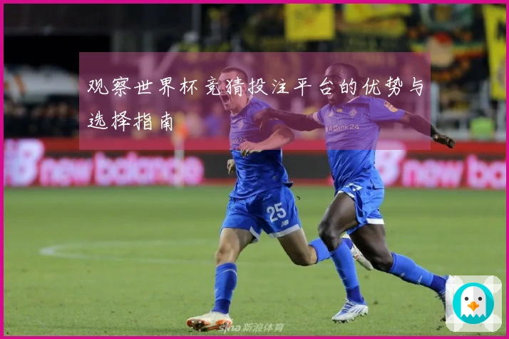 观察世界杯竞猜投注平台的优势与选择指南
