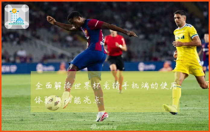 全面解读世界杯竞猜手机端的使用体验与功能亮点