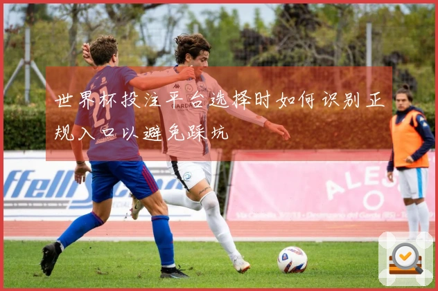 世界杯投注平台选择时如何识别正规入口以避免踩坑