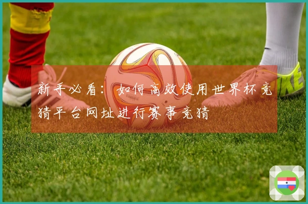 新手必看：如何高效使用世界杯竞猜平台网址进行赛事竞猜