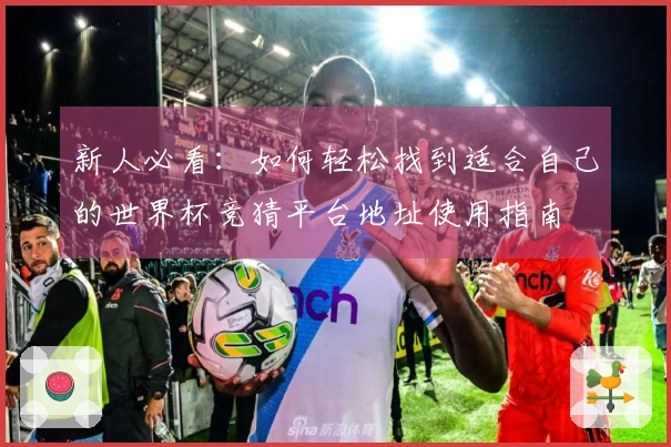 新人必看：如何轻松找到适合自己的世界杯竞猜平台地址使用指南