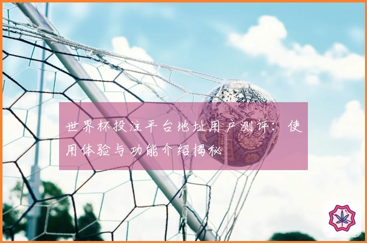 世界杯投注平台地址用户测评：使用体验与功能介绍揭秘