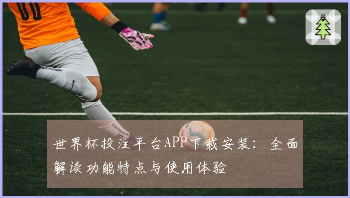 世界杯投注平台APP下载安装：全面解读功能特点与使用体验