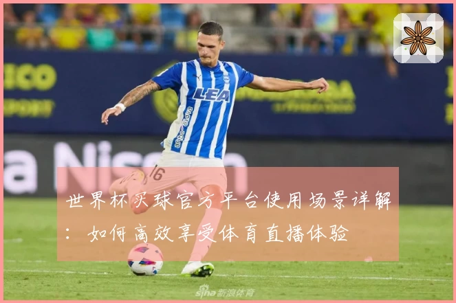 世界杯买球官方平台使用场景详解：如何高效享受体育直播体验