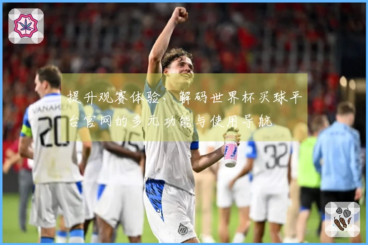 提升观赛体验，解码世界杯买球平台官网的多元功能与使用导航