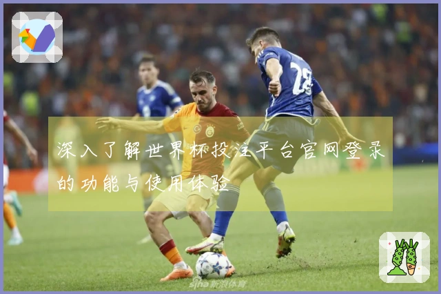 深入了解世界杯投注平台官网登录的功能与使用体验
