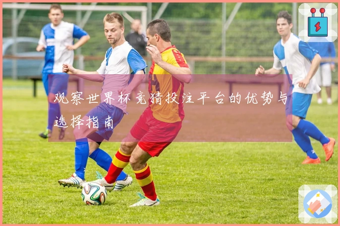 观察世界杯竞猜投注平台的优势与选择指南