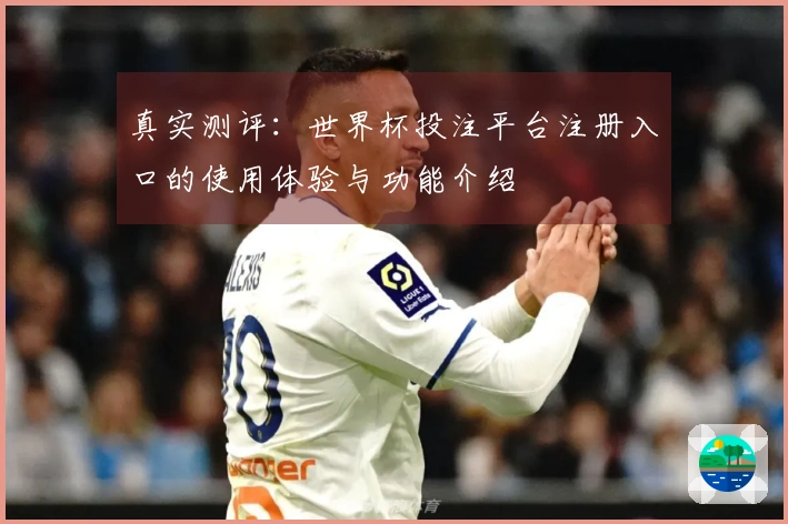 真实测评：世界杯投注平台注册入口的使用体验与功能介绍