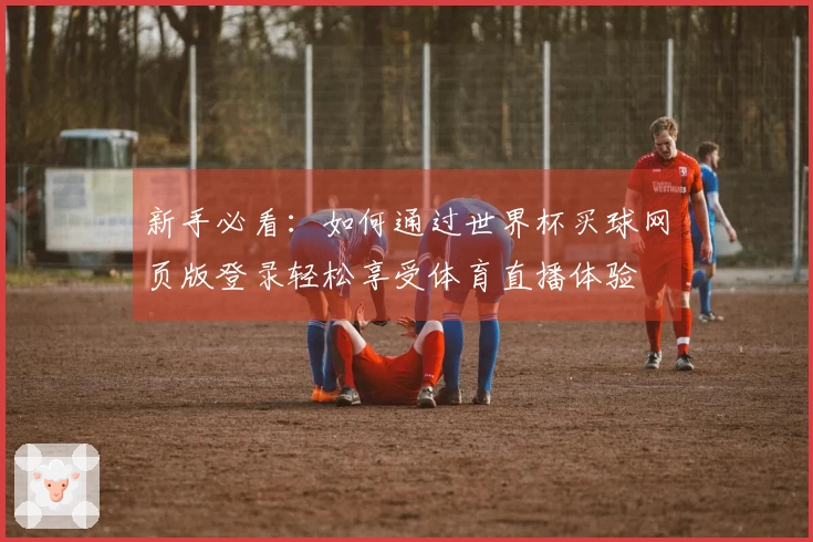 新手必看：如何通过世界杯买球网页版登录轻松享受体育直播体验