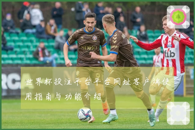 世界杯投注平台平台网址客户端使用指南与功能介绍