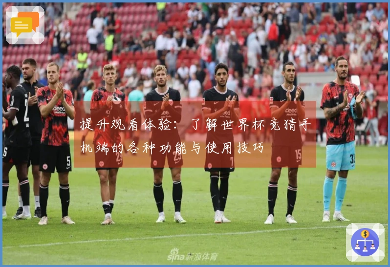 提升观看体验：了解世界杯竞猜手机端的各种功能与使用技巧