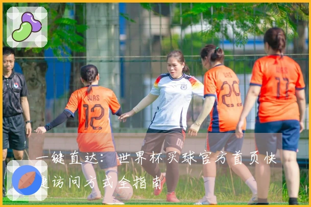 一键直达：世界杯买球官方首页快捷访问方式全指南