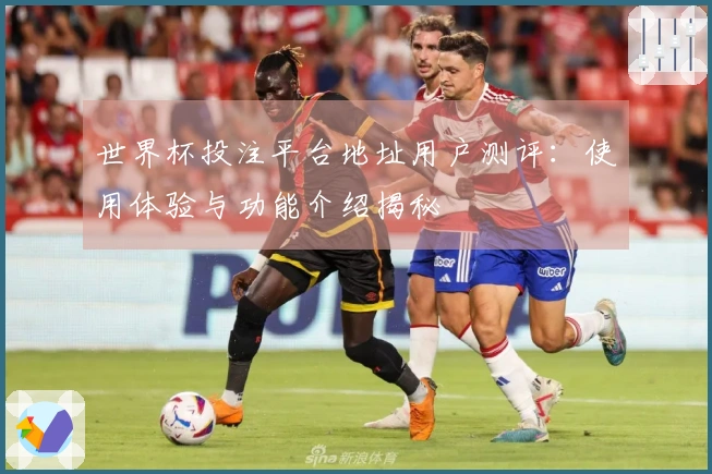 世界杯投注平台地址用户测评：使用体验与功能介绍揭秘