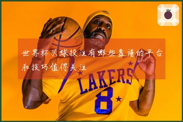 世界杯买球投注有哪些靠谱的平台和技巧值得关注